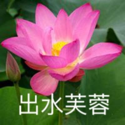 异兽擎天九游版下载